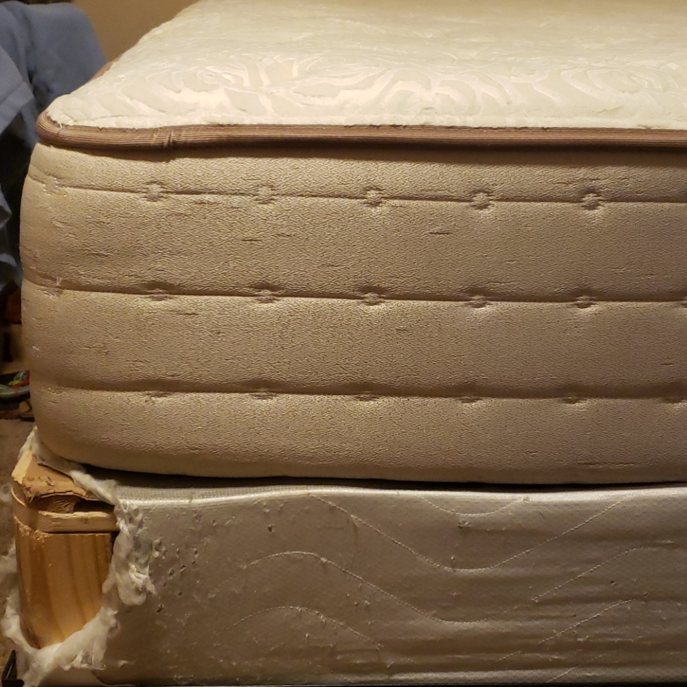 Mattress & Boxspring - Picture 5 of 6